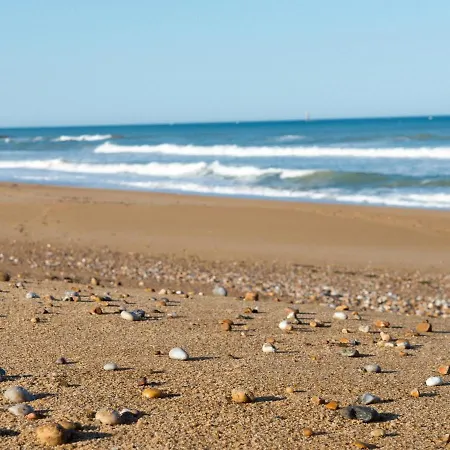T3 Avec Piscine A 200m De La Cote Sauvage Et Proche Plages - - Fr-1-92-602 * Les Sables-dʼOlonne