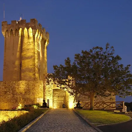Lejlighed T3 Avec Piscine A 200m De La Cote Sauvage Et Proche Plages - - Fr-1-92-602