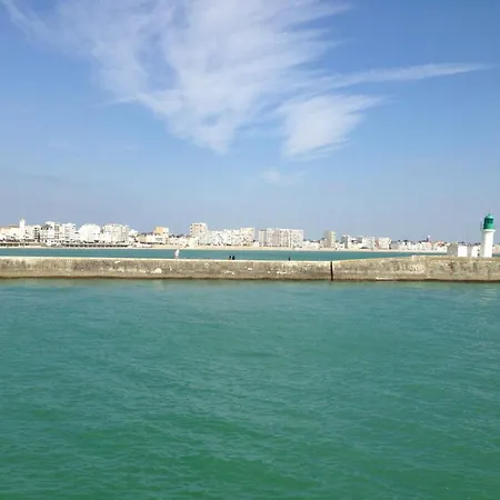 T3 Avec Piscine A 200m De La Cote Sauvage Et Proche Plages - - Fr-1-92-602 Lejlighed *