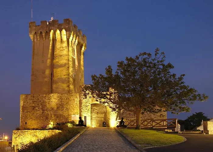 Apartman T3 Avec Piscine A 200m De La Cote Sauvage Et Proche Plages - - Fr-1-92-602